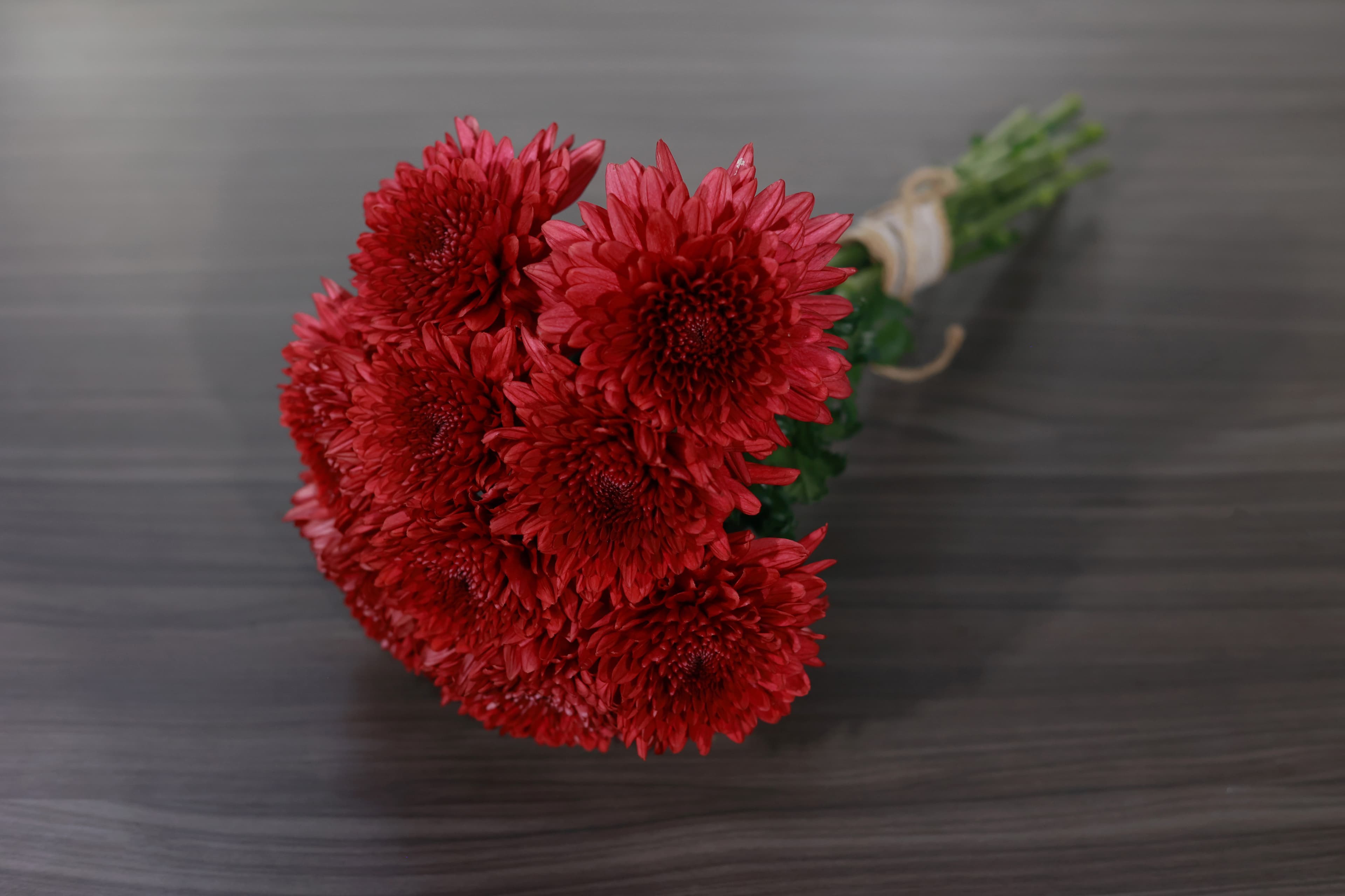Burgundy Chrysanthemum Bouquet