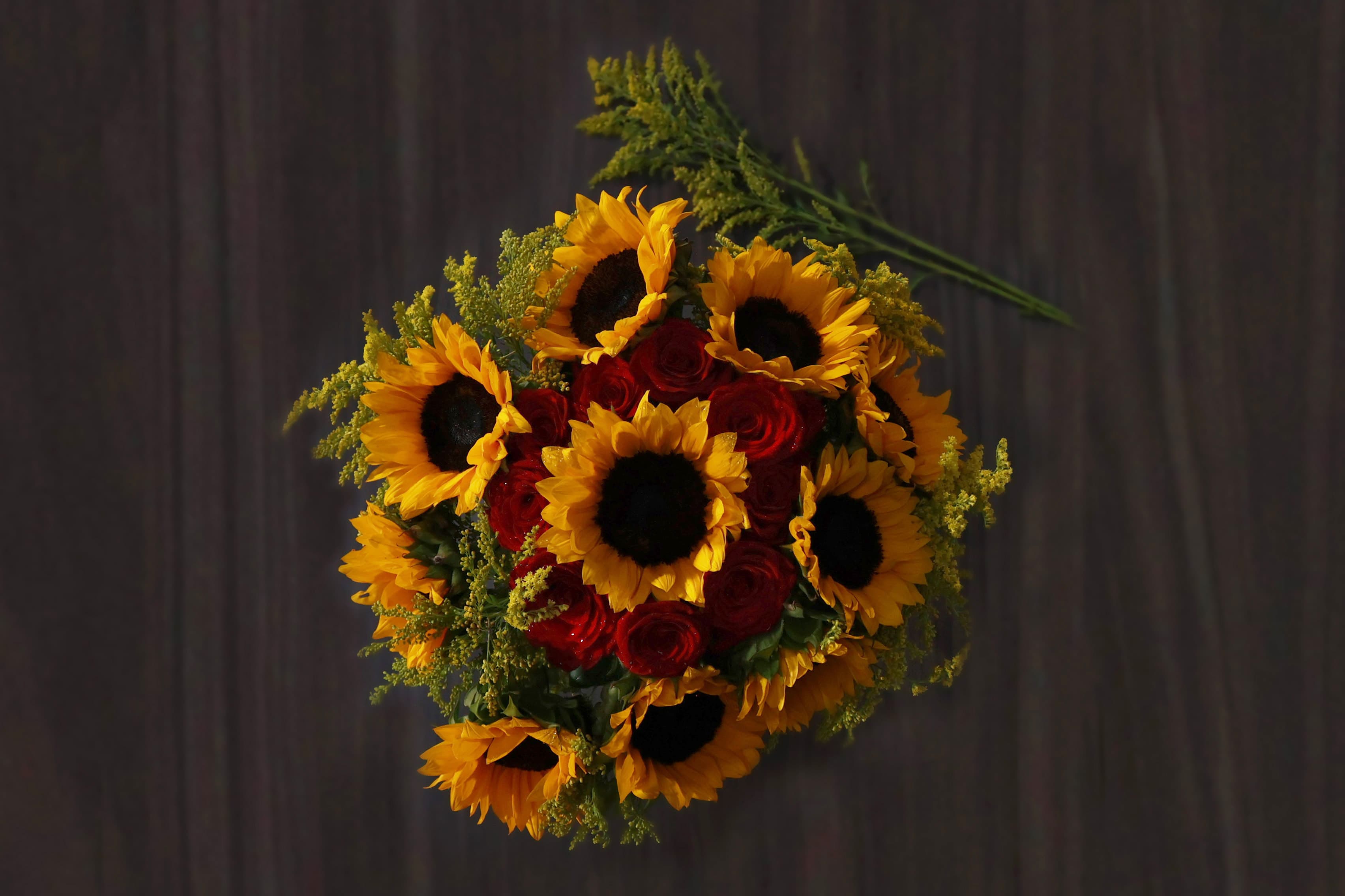 Sunshine Country Cluster